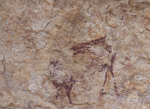 Portada SAGVNTVM 33. Ciervo pintado en Abric I de la Xivana (Alfarb, Valencia)