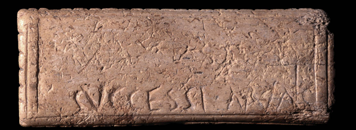 Placa rectangular de hueso de Segobriga, con inscripción latina "successi anais"