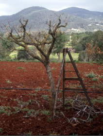 Paisaje de Atzaró (2002)